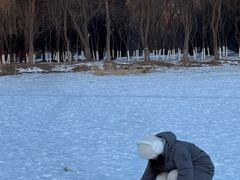 -北陵公园
