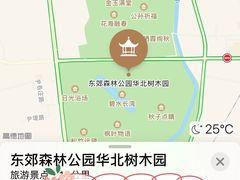 景点-东郊湿地公园