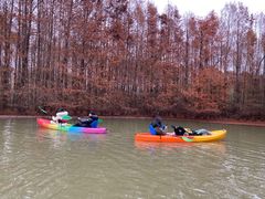 -上海海湾国家森林公园