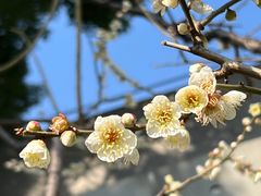 -静安雕塑公园