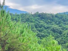 -广州白江湖森林公园