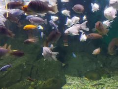-常州海昌海洋探索馆