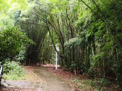 -广州市石门国家森林公园