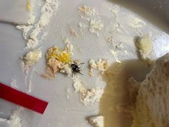 -红宝石·鲜奶小方·海派西点房(南丹店)