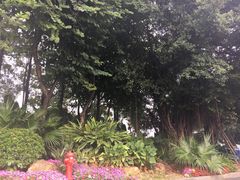 -海心沙亚运公园