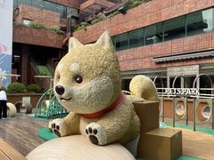 -新城市广场