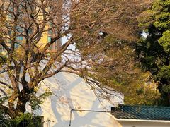 -晓港公园