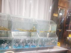 -桃源村铁锅炖鱼(体育馆道店)