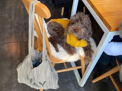 -Egg•Allday Brunch(襄阳北路店)