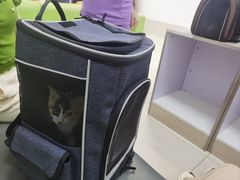 -北京观赏动物医院·24小时大型综合·猫专科·异宠专科