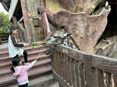 -长鹿旅游休博园