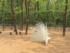 -秦皇岛野生动物园