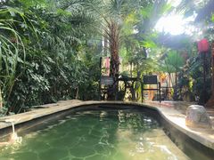 -郑州银基黄帝宫御温泉