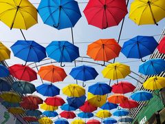 -大隐花事(熊婆婆的花园店)