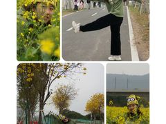 -光明小镇欢乐田园