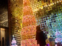 -北京康莱德酒店