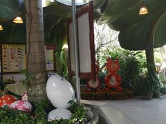 -100蛋泥浆浴