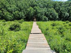 -白草畔自然风景区