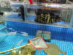 水产区-宴江南(汇海路店)