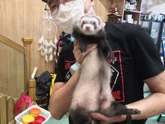 -藦茜花园宠物主题亲子互动体验馆(国顺东路店)