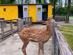 -前小桔亲子创意农场·草莓采摘·露营烧烤