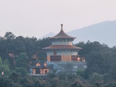 -铁山坪森林公园