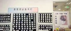 -AI艾耳·专业手工耳洞·穿孔美学馆