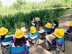 -甲乙果 美术书法(通州校区)