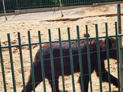 -秦皇岛野生动物园