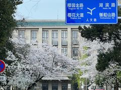 -武汉大学-樱园