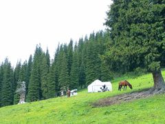 -新疆那拉提国家旅游度假区