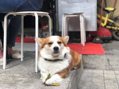 -小梁哥云吞面(黄贝岭店)