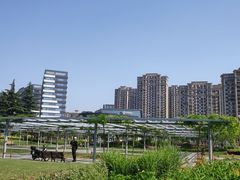 -上海嘉定喜来登酒店