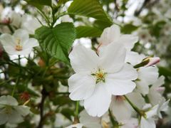 -象王洗衣(青蓝国际店)