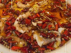 -椒爱水煮鱼川菜(大连罗斯福店)