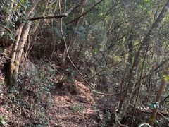 -东南悬空寺方广岩