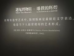 -遇见博物馆(遇见海洋沉浸式奇幻光影展)