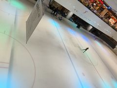 -TheRink大零溜冰场(IFS国金中心店)