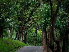 -燕晗山郊野公园