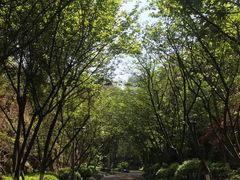 -百林公园-两江幸福广场