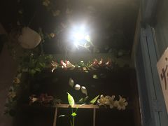-杨小贤(五店市店)