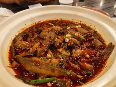-情妹耙泥鳅·江湖川菜(科华店)