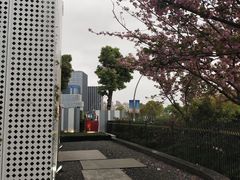 -柒厢食事雅谈