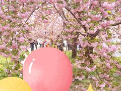 -莲花池公园