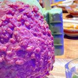 久仰大名终终于吃上了！！！