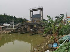 -海鸥岛河景湖大排档
