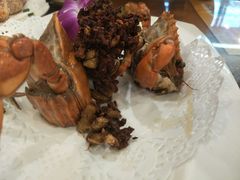 -友强·23年特色海鲜大排档(厦门店)