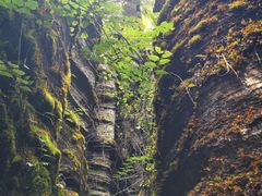 -梭布垭石林景区