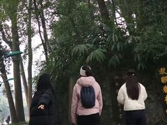 -峨眉山报国寺