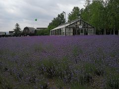 -富田农场
